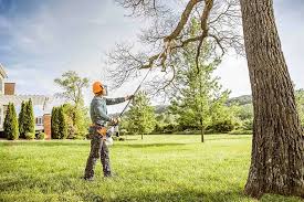 How Our Tree Care Process Works  in  Fallsburg, NY